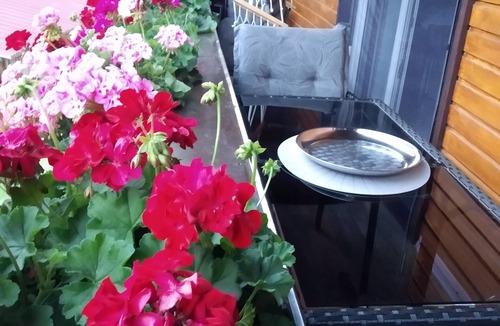Oberharmersbach Apartment | Vacation apartment Sonnenblick
