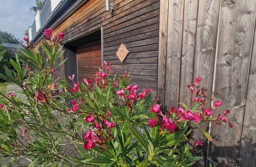 Cham Apartment | Vacation apartment am Bühl