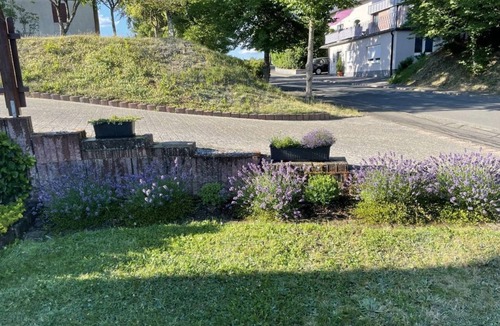 Brockscheid Apartment | Vacation apartment Opp der Holl - 2-bed vacation apartment Opp der Holl