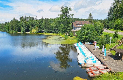 Kaisersbach Apartment | Vacation apartment for 2 near the lake - dogs welcome