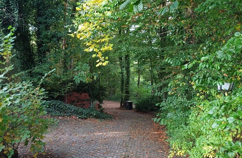 Furpach Apartment | Vacation apartment in the forest/central location/leisure facilities