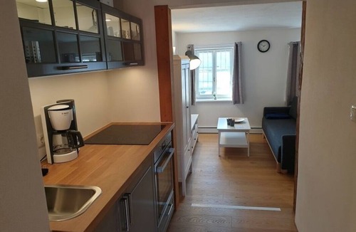 Rattelsdorf Apartment | Vacation apartment/apartment for 3 guests with 35m² in Rattelsdorf (146071)