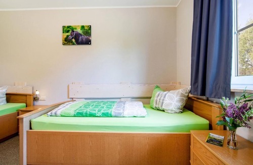 Schonbach House | Vacation apartment "Falke" for 4 persons, ground floor - Hubertushof Eifel