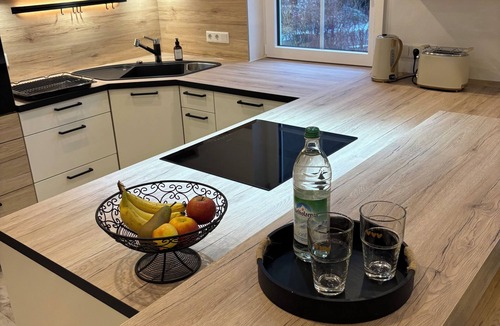 Gersbach Apartment | Vacation apartment zum Mühlbach, Franconian Lake District, 108sqm