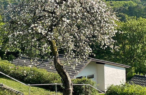 Biersdorf am See House | Vacation home for 5 guests with 78m² in Biersdorf am See (181347)