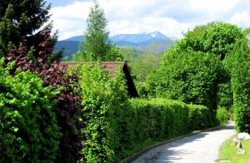 Feichten House | Vacation home for 6 guests with 120m² in Siegsdorf (272763)