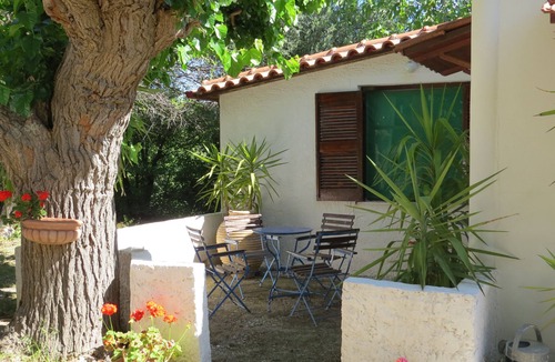 Aigialeia House | Vacation home olive garden in Greece