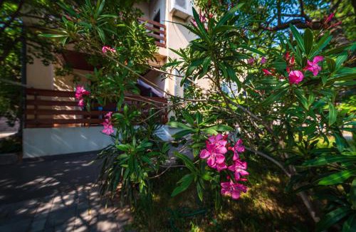 Karlobag House | Vacation house Anna