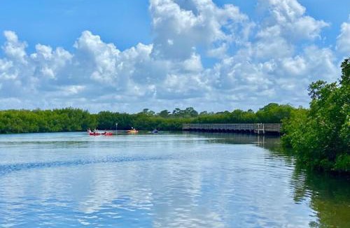 Tampa Villa | Vacation Villa in Tampa 17 Guest