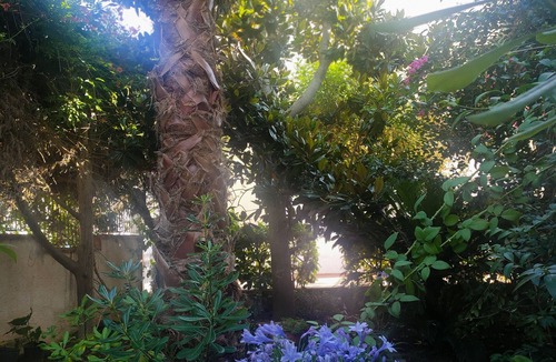 Specchiolla Villa | Vacation villa La Magnolia SpecchiollaInteger villa three rooms with bathroom 10 places