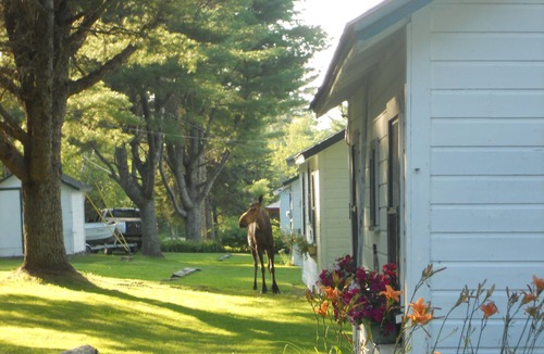 Brookton Cottage | Vacations, Guided Fishing Trips, Or Non Guided Fishing. Great Bass Fishing.