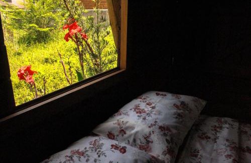 Mariscal Other | Valhalla Glamping House
