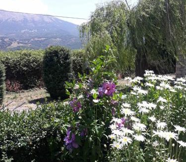 Kalavrita House | VALIA ROOMS