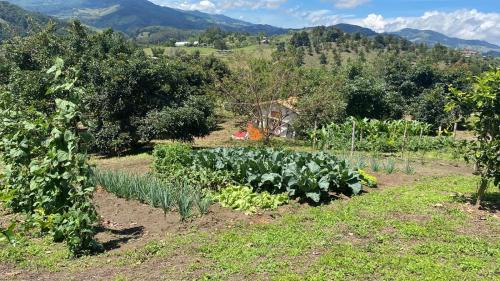 Llanogrande House | Valle Sereno, Hospedaje rural cerca del Salto del Buey