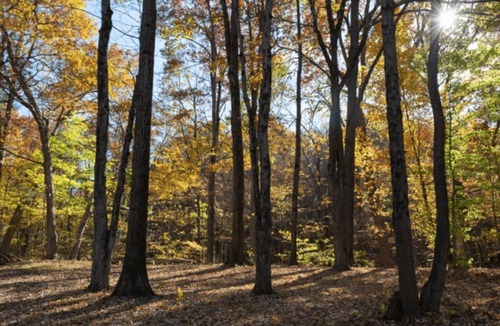 Cuyahoga Falls RV Rental | Valley Overlook - Peninsula, Ohio - Glamping Tent P8 - in the heart of CVNP