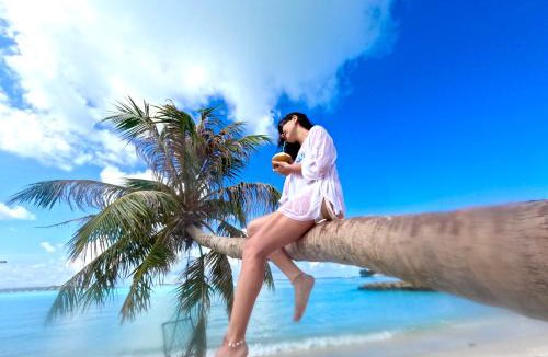 Guraidhoo Hotel | Valley Palm Seaview