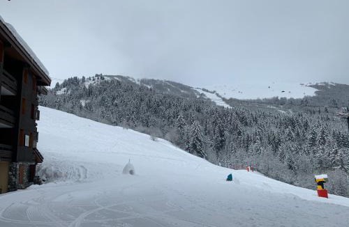Valmorel Apartment | Valmorel Studio Skis aux pieds