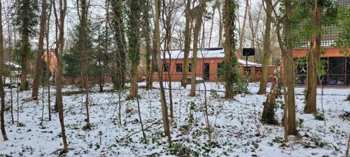 Baal Apartment | Van Horick