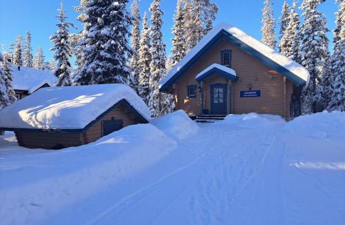 Syote Villa | Vanamo