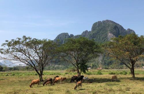 Vang Vieng Hotel | Vang Vieng Romantic Resort