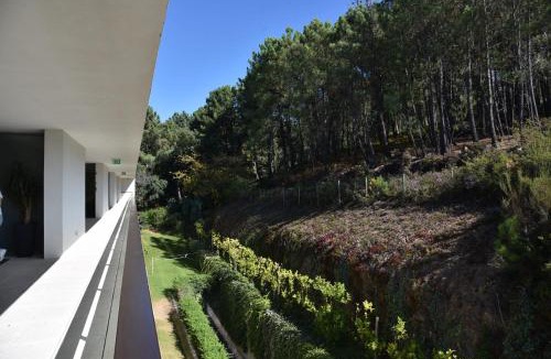 Fornelos Apartment | Varanda do Golfe