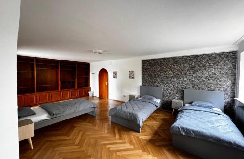 Friedrichshofen House | Vardi Haus