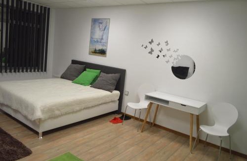 Satu Mare House | Vasarely Luxury Flat