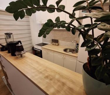 Topla Apartment | Vavic 1