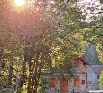 Cetinje Apartment | VD Forest villa
