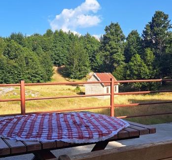 Cetinje Apartment | VD Forest villa