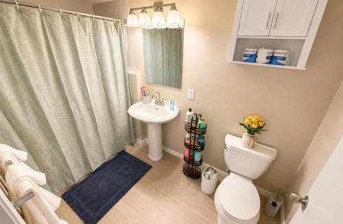 Lake City Apartment | Vega Apartment Seattle