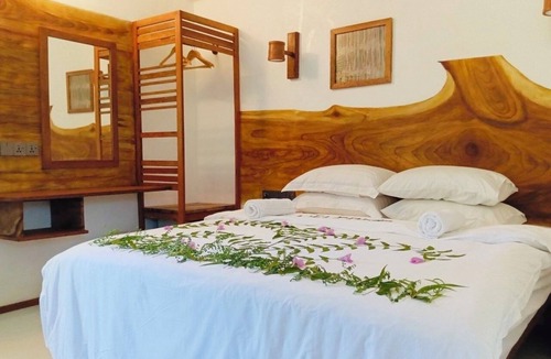 Dhiffushi House | Velaa Vani - The Turtle Hive Maldives