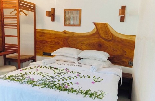 Dhiffushi House | Velaa Vani - The Turtle Hive Maldives