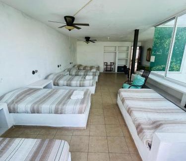 Tequesquitengo House | Ven a disfrutar de Casa Alfenapa a pie del lago, somos pet friendly