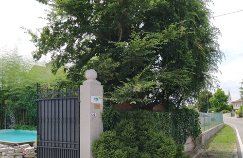 Codogne Villa | Venetian Villa with swimming pool, 11 sleeping accommodations, absolute privacy