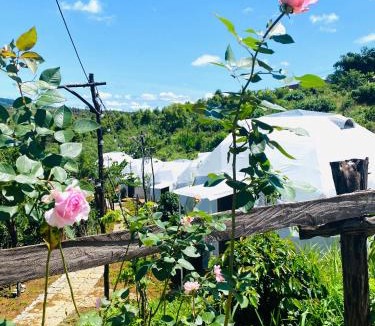 Kon Plong House | Ventosa HomeFarm - Venuestay