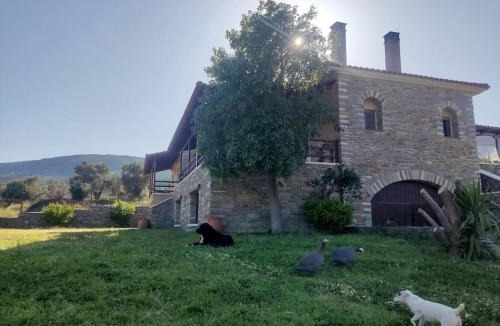 Sipiada Apartment | Venus cottage