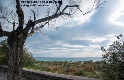 Marina di Ascea Apartment | Verde oleandro & Blu mare