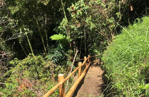 Ibague Ski Chalet | Verde Selva