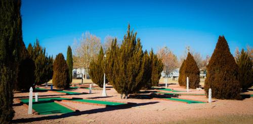 Cherry Resort | Verde Valley Studio Park Model Cabin 15