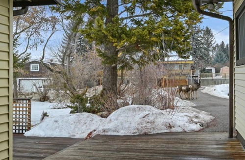 Windermere House | Very Spacious, Cozy and 1.5 blocks to the beach!