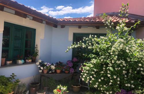 Sorgono House | Vesta