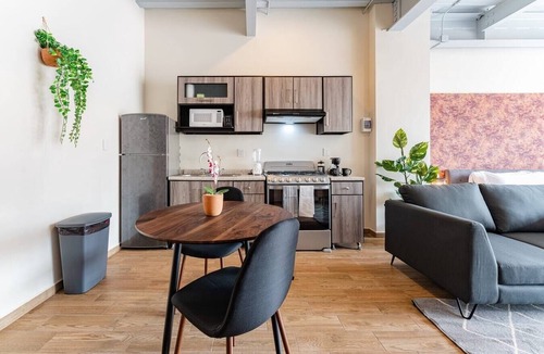 Zona Rosa Apartment | VH | Comfy loft | rooftop and wifi en Roma Nte | 304
