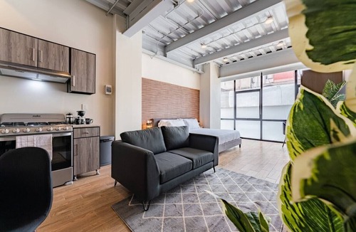Zona Rosa Apartment | VH | Loft ejecutivo Roma Nte | wifi and rooftop |300