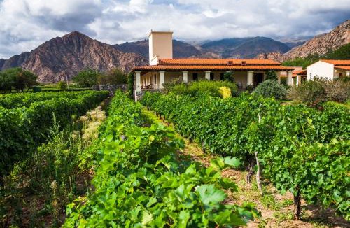 Cafayate Hotel | Viñas De Cafayate Wine Resort