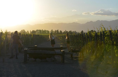 Vistalba Hotel | Viamonte Winery Lodge