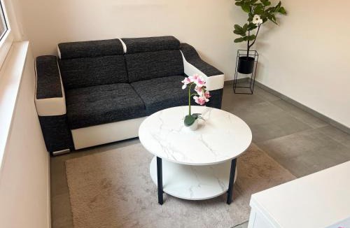 Sinzheim Apartment | ViDa Apartment