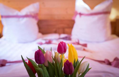 Sicasau Resort | Vidra Park