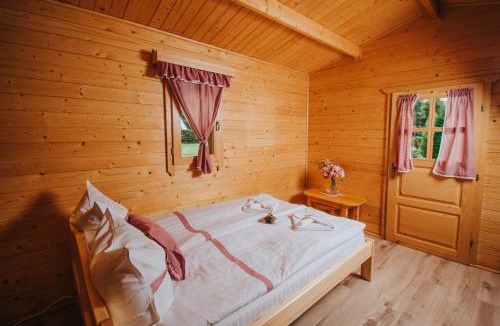 Zetea Apartment | Vidra Park