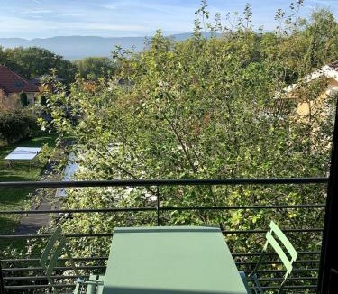 Messery Apartment | View Geneva Lake, private residence, swimming pool